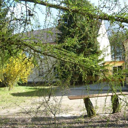 Suedseite Apartment Nossentiner Huette Exterior foto